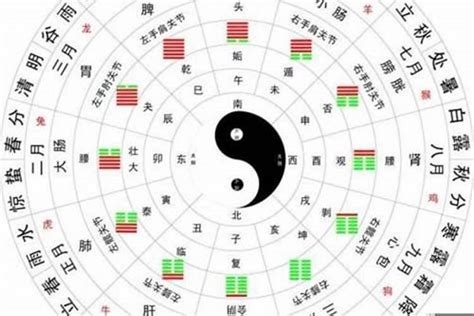 用生日算命|生辰八字算命、五行喜用神查询（免费测算）